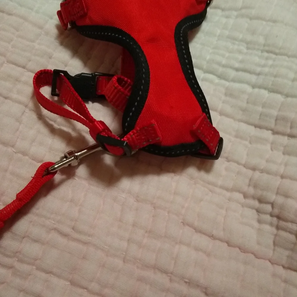 Red Cat Harness and Leash Set